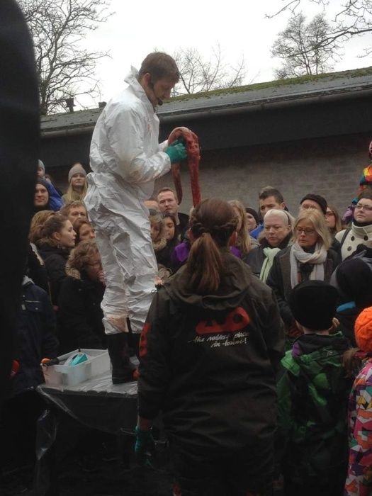 Европейский гуманизм (12 фото)