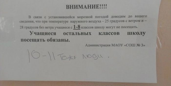 Народные маразмы (42 фото)