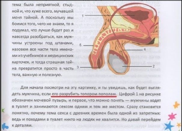 Народные маразмы (42 фото)