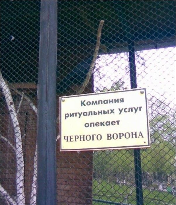 Народные маразмы (42 фото)