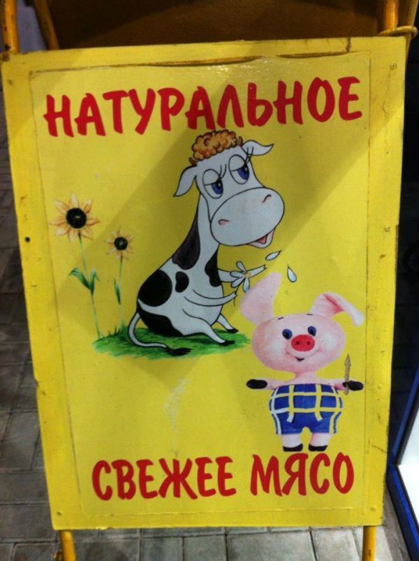 Прикольные картинки (74 фото)