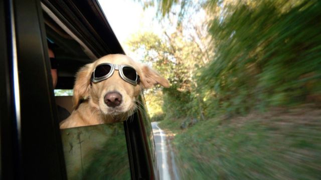 Прикольные картинки (74 фото)