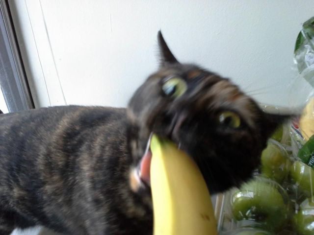 Прикольные картинки (74 фото)