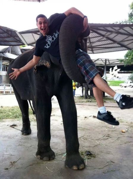 Прикольные картинки (74 фото)