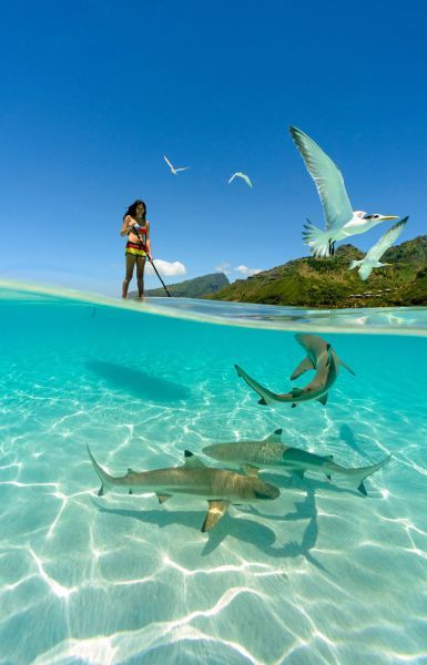 Прикольные картинки (74 фото)