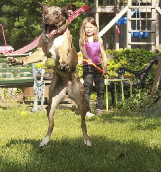 Прикольные картинки (74 фото)