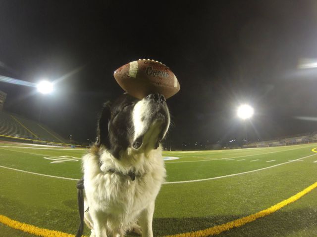 Прикольные картинки (74 фото)