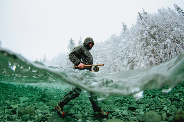 Прикольные картинки (74 фото)