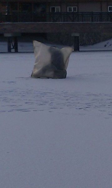 Привет из России (49 фото)