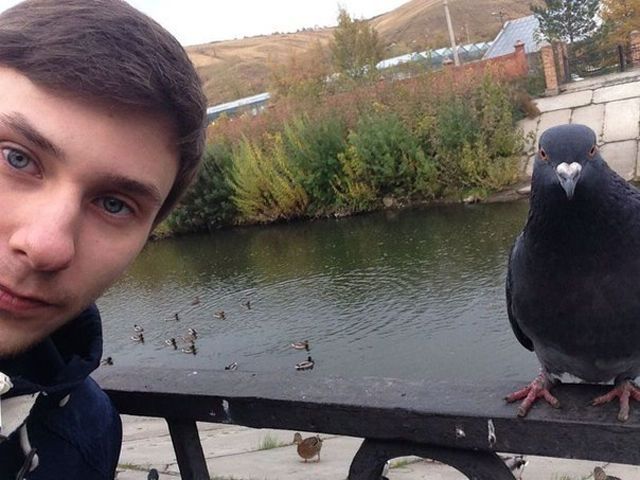 Привет из России (49 фото)