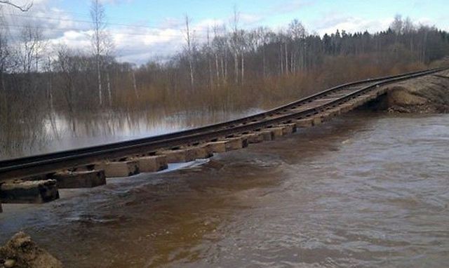 Привет из России (49 фото)