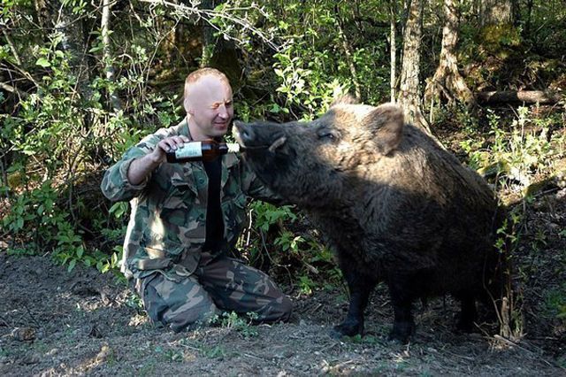 Привет из России (49 фото)