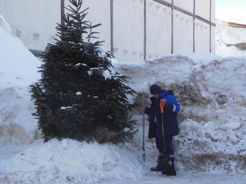 Американский спортсмен об олимпийской жизни в Сочи (57 фото)