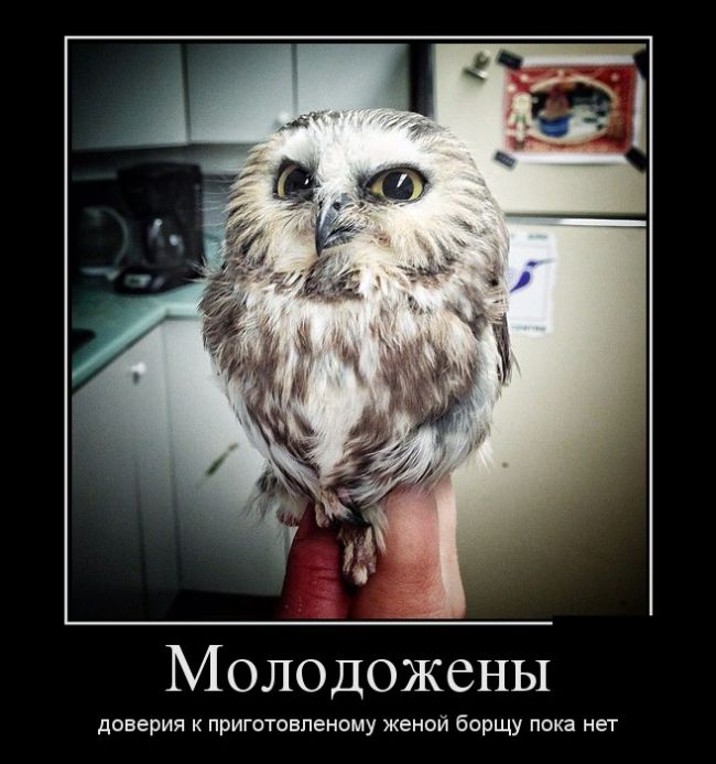 Демотиваторы