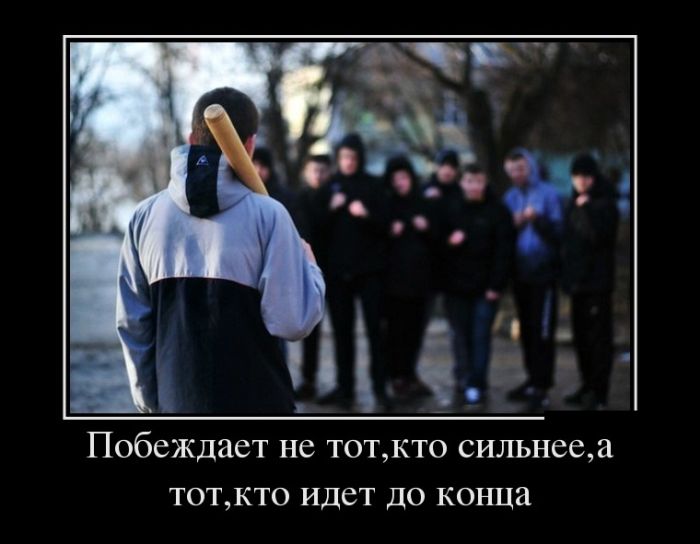 Демотиваторы