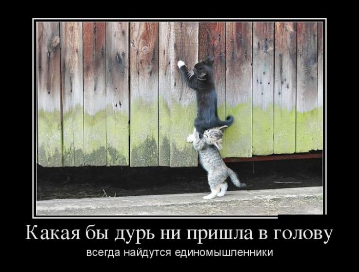 Демотиваторы