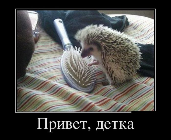 Демотиваторы