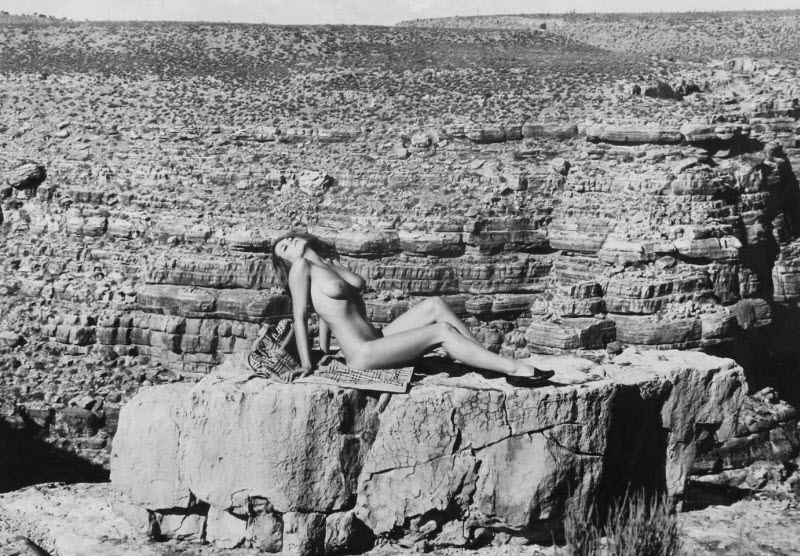 Винтажное ню