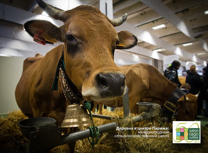 Международный сельскохозяйственный салон в Париже