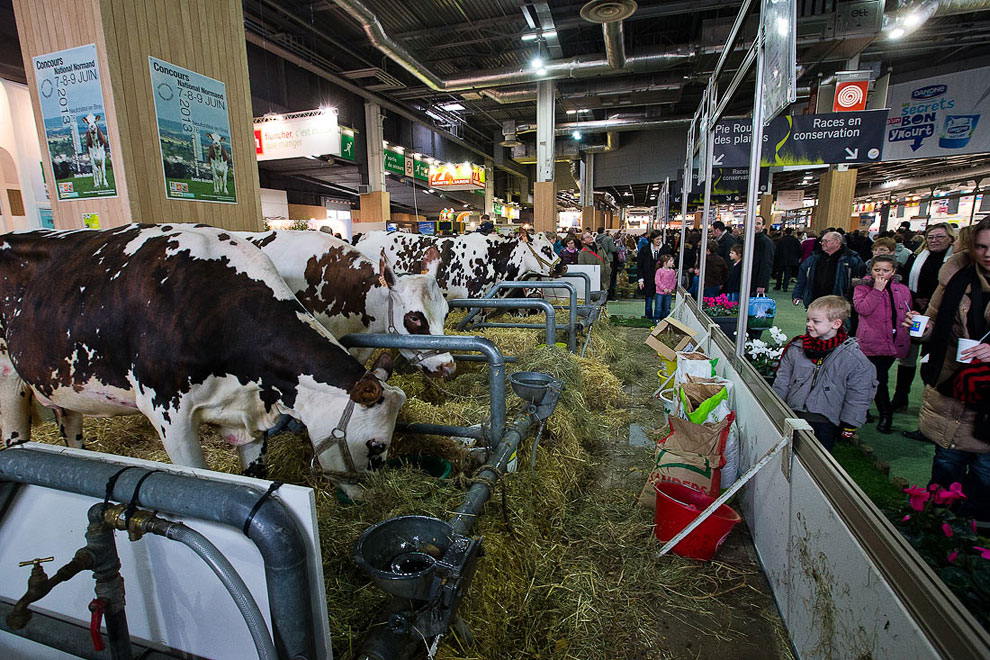 Международный сельскохозяйственный салон в Париже