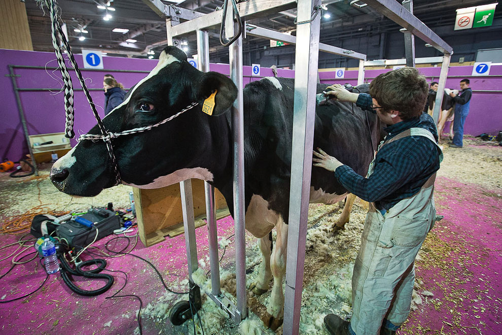 Международный сельскохозяйственный салон в Париже