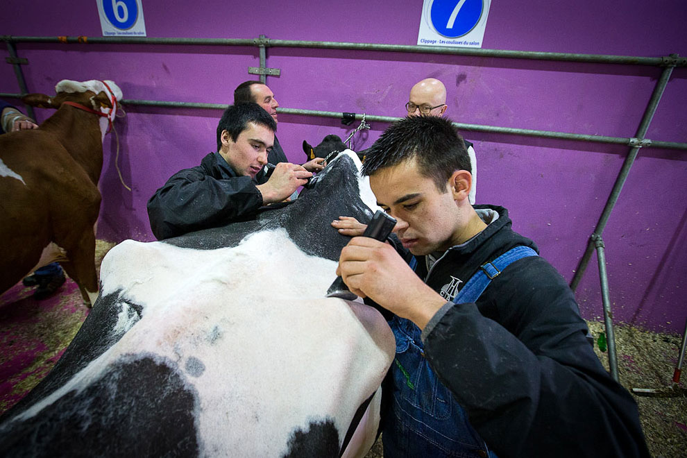 Международный сельскохозяйственный салон в Париже