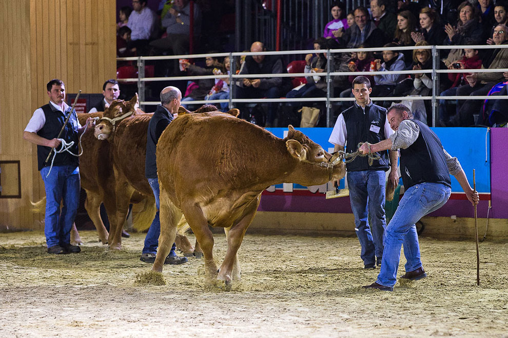 Международный сельскохозяйственный салон в Париже