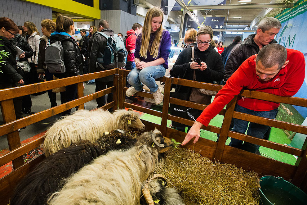 Международный сельскохозяйственный салон в Париже