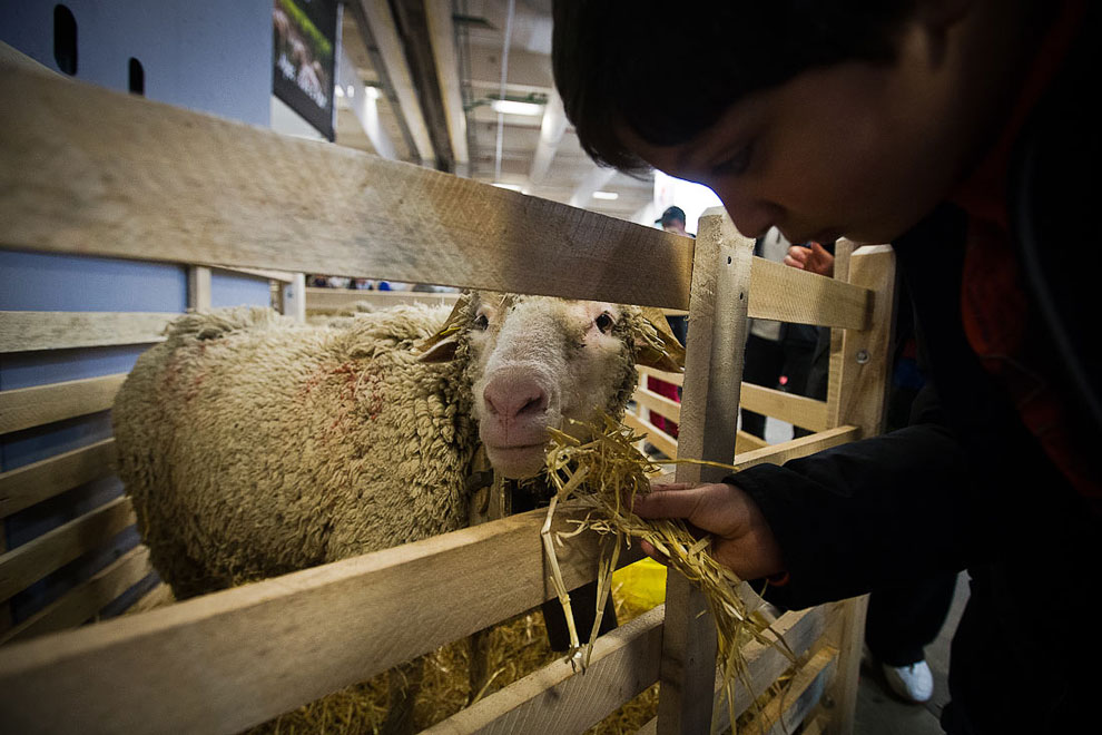 Международный сельскохозяйственный салон в Париже