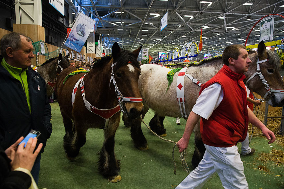 Международный сельскохозяйственный салон в Париже