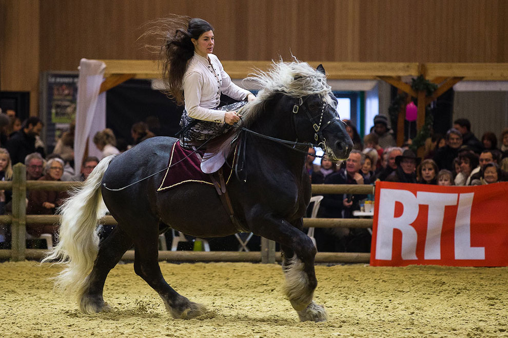 Международный сельскохозяйственный салон в Париже