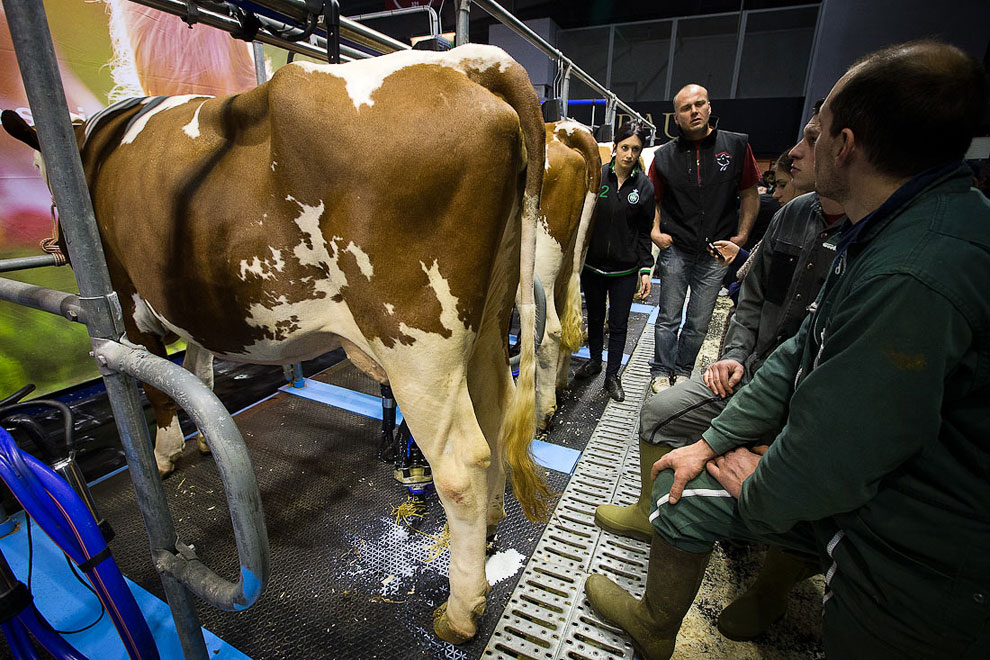 Международный сельскохозяйственный салон в Париже