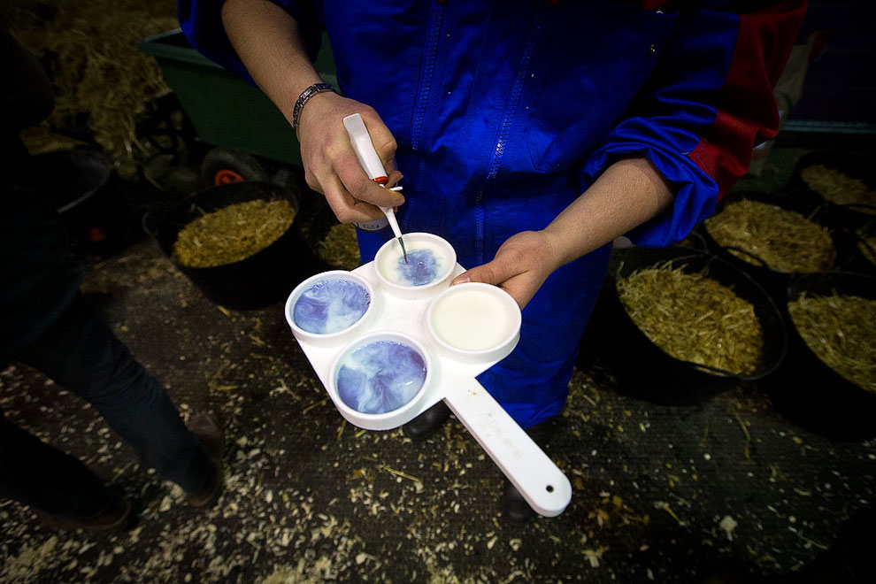 Международный сельскохозяйственный салон в Париже