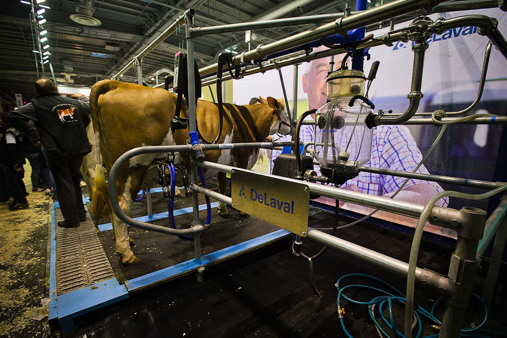 Международный сельскохозяйственный салон в Париже