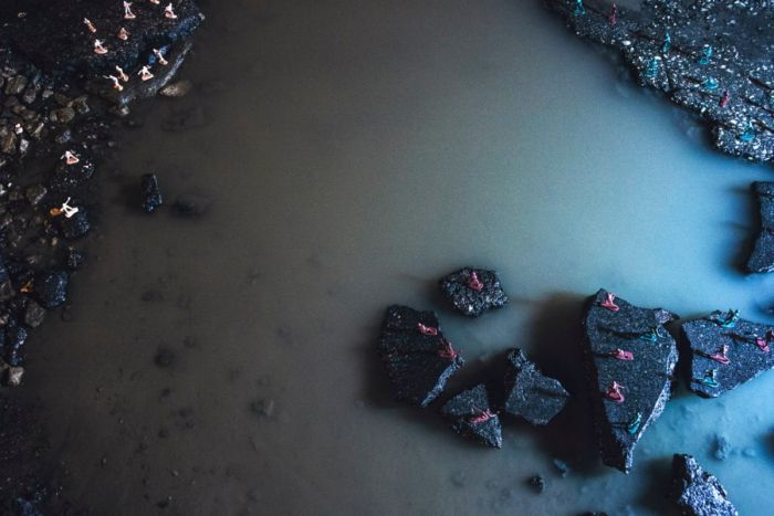 В Самаре фотографы превратили ямы на дорогах в арт-объекты