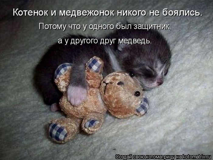 Лучшие котоматрицы недели