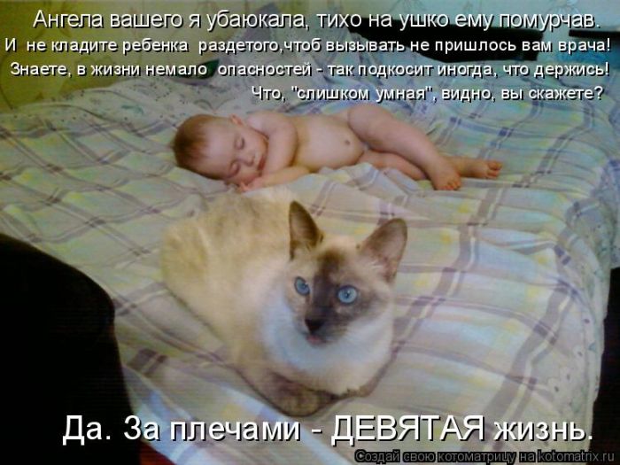 Лучшие котоматрицы недели