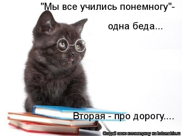 Лучшие котоматрицы недели
