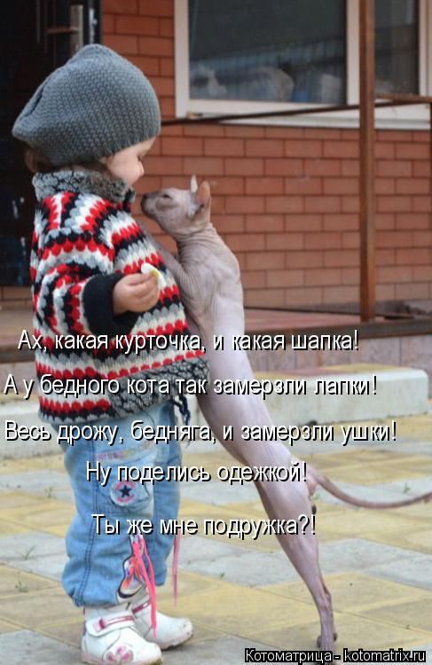 Лучшие котоматрицы недели