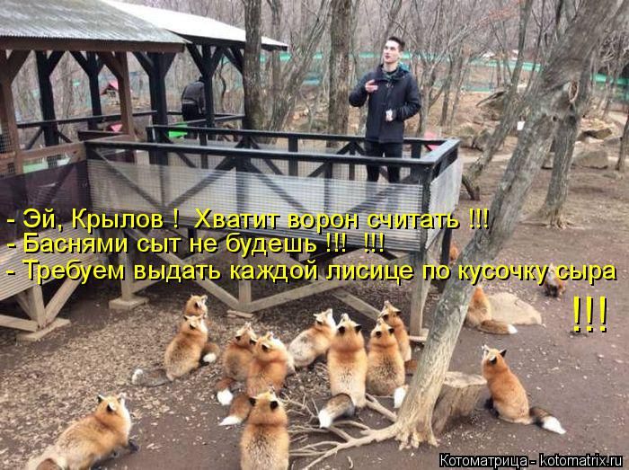 Лучшие котоматрицы недели