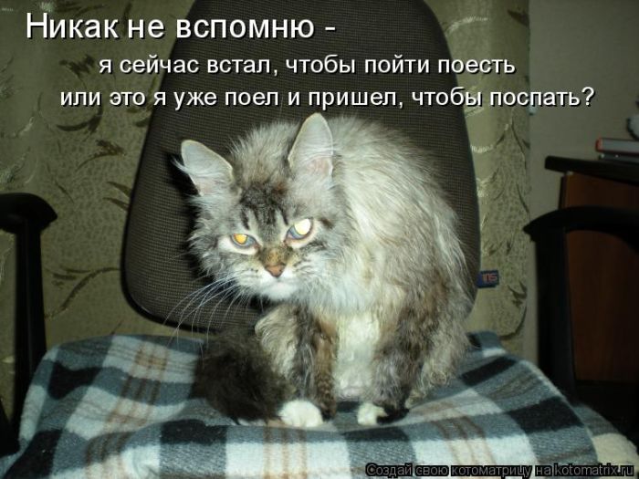 Лучшие котоматрицы недели