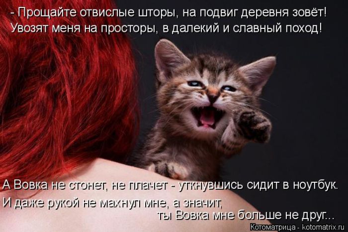 Лучшие котоматрицы недели