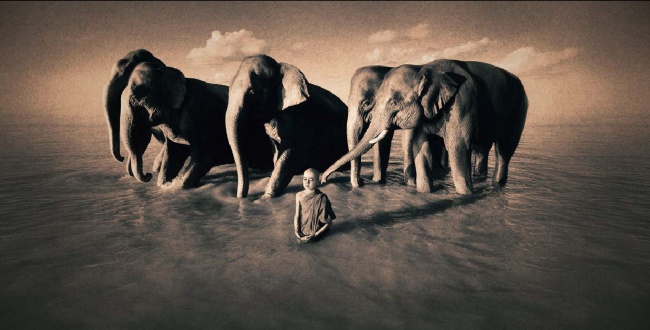 Фильмы, которые заставили время остановиться Фильмы, которые заставили время остановиться