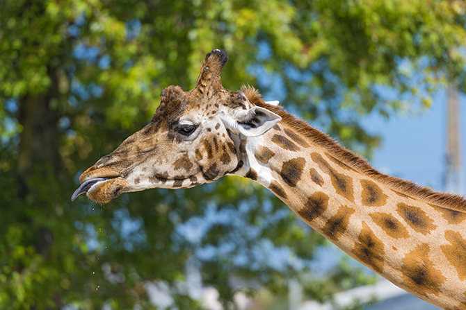 25 малоизвестных фактов о важнейшем веществе на Земле