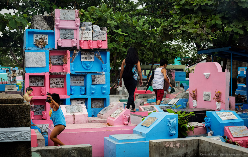 Жизнь на кладбище