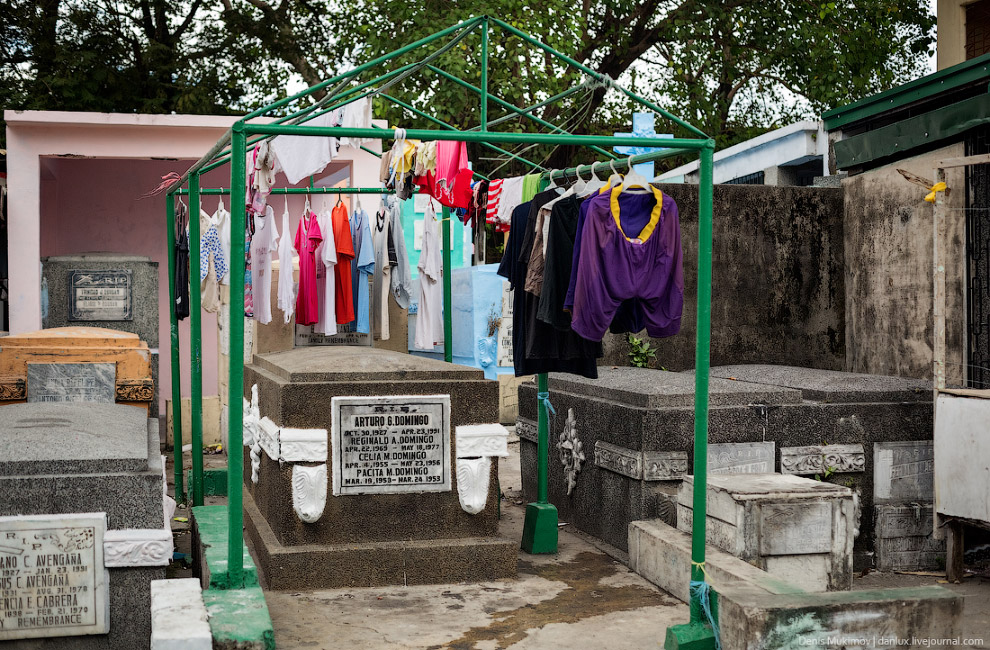Жизнь на кладбище