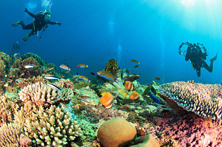 Другая реальность