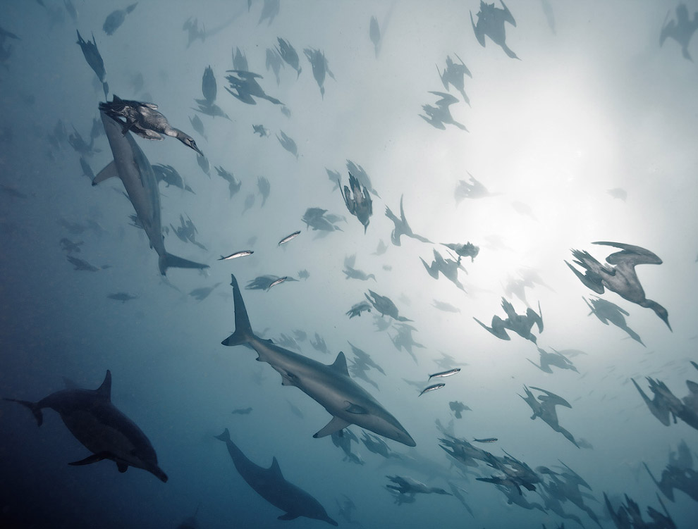 Другая реальность