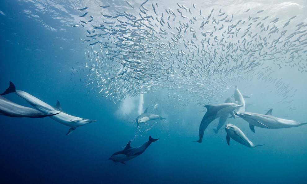 Другая реальность