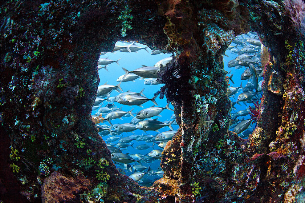 Другая реальность